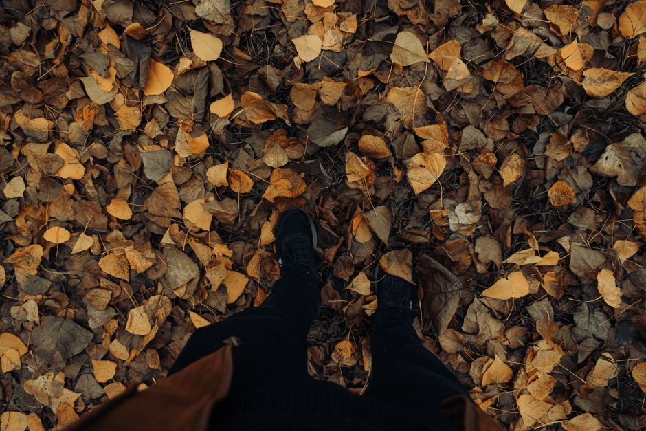 A top view of a person standing on a bed of fallen autumn leaves, showcasing the rich colors of fall.